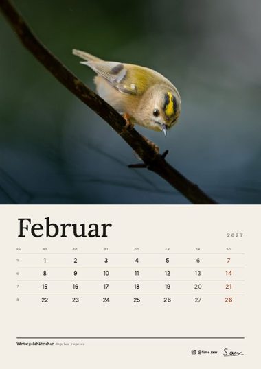 Februar 2027