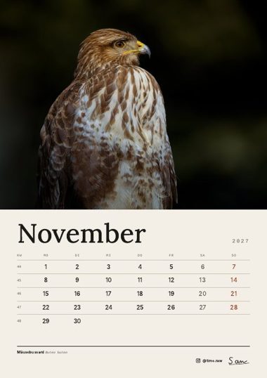 November 2027