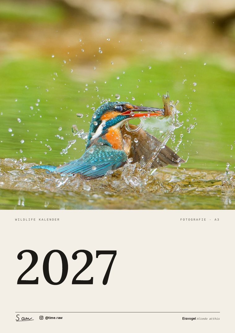 Deckblatt des Wandkalenders 2027 mit einem Eisvogel